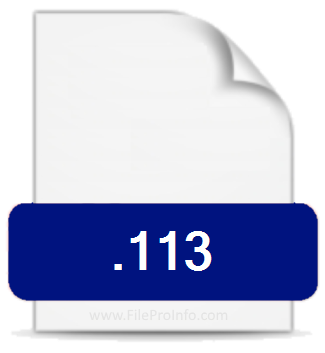 .113 file extension.