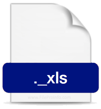 ._XLS file extension.