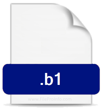 .B1 file extension.