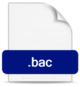 .BAC file extension.