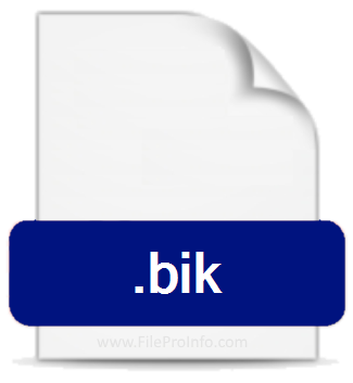 .BIK file extension.