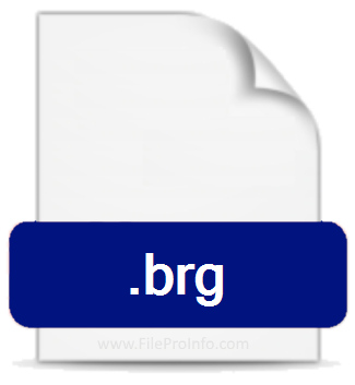 .BRG file extension.