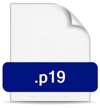 .P19 file extension.