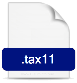 .TAX11 file extension.