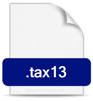 .TAX13 file extension.