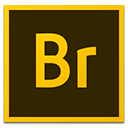 Adobe Bridge image.